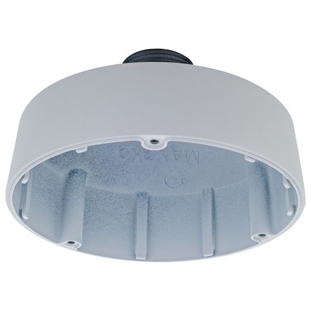 D-Link DCS-F461PC Pendant Cap Type D2 for Vigilance Cameras