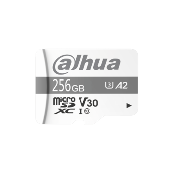 Dahua DHI-TF-C100/256GB C100 256GB microSD Memory Card