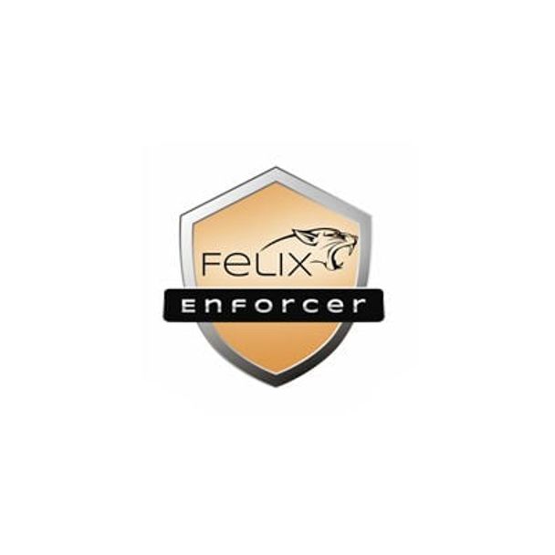 Felix Enforcer Security T1F-EPE01-017-FA Protects Against Malware & Threats, 1 user 1 motnth SUB OEM