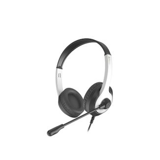 A4tech ERAHA713 FH100U Fstyler Stereo Headset USB Panda