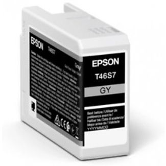 EPSON C13T46S700 Singlepack Gray T46S7