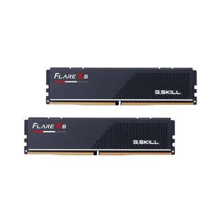 G.Skill F5-5600J3636C16GX2-FX5 FLARE X5 32G (2x16GB) DDR5-5600 CL36-36-36-89 1.20V Memory For AMD