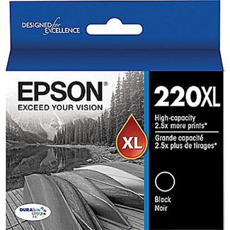 Epson T294192 High Capacity DURABrite Ultra Black ink(Epson WorkForce WF-2630| WF-2650| WF-2660)
