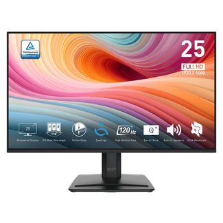 MSI PRO MP251 E2 24.5" FHD 120Hz AdaptiveSync IPS Monitor