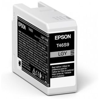 EPSON C13T46S900 Singlepack Light Gray T46S9
