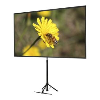 Epson V12H002S2Y ELPSC21B 80" Portable Tripod Screen