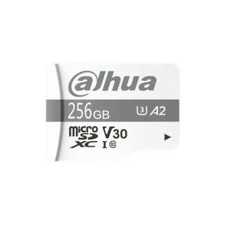 Dahua DHI-TF-C100/256GB C100 256GB microSD Memory Card