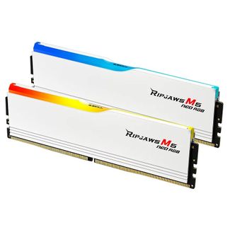 G.Skill F5-6000J3648D16GX2-RM5NRW Ripjaws M5 Neo RGB 32GB (2x 16GB) DDR5 6000MHz CL36 AMD Desktop Memory White