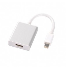 Mini DisplayPort Adapters