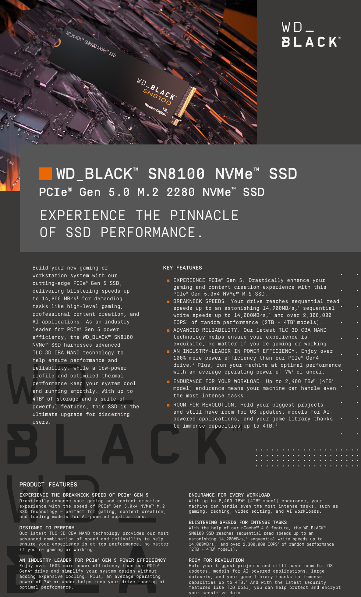 WDS100T1X0M-00CMT0